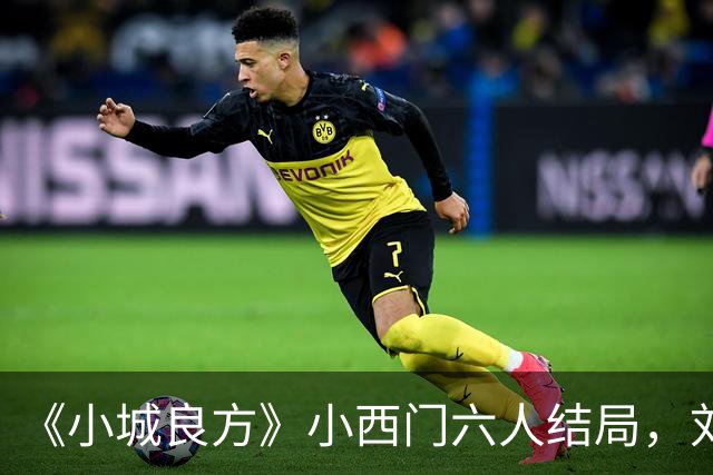 《小城良方》小西门六人结局，刘铮亮继任院长，陈俊南创业