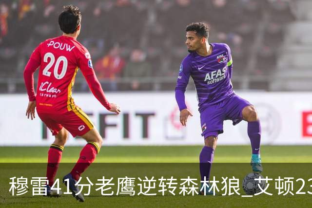 穆雷41分老鹰逆转森林狼 艾顿23板开拓者首胜