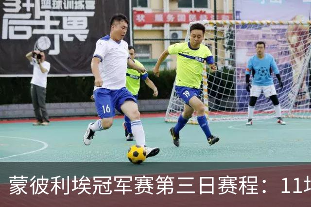 蒙彼利埃冠军赛第三日赛程：11场比赛，国乒参与4场，向鹏VS奥恰