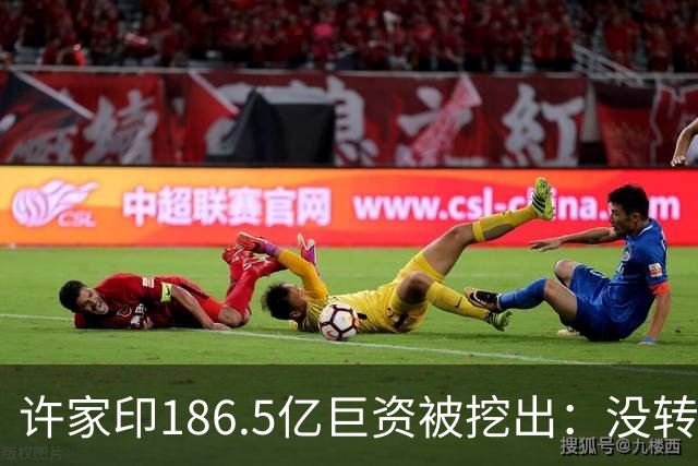 许家印186.5亿巨资被挖出：没转给丁玉梅，而是给了这位“老友”