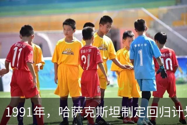 1991年，哈萨克斯坦制定回归计划，我国哈萨克族为何很少迁回？